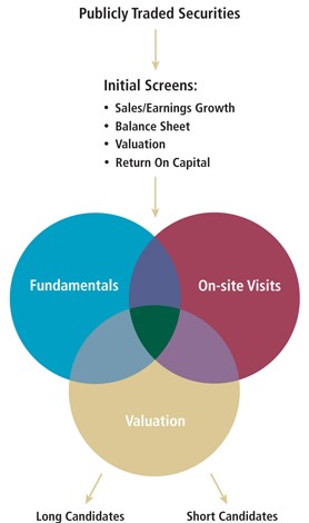 3-circles-Strategy-NEW.jpg